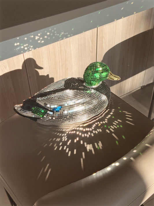 Disco Duck