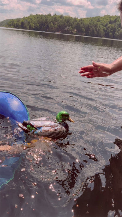 Disco Duck