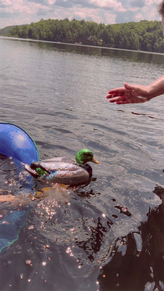 Disco Duck