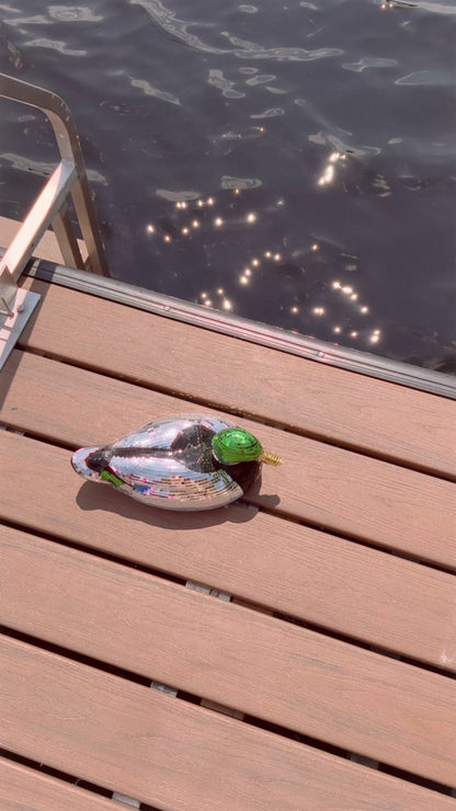 Disco Duck